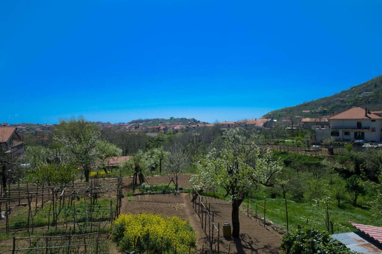 Al Cortile Di Nonno Luigi Villa Agerola Eksteriør bilde